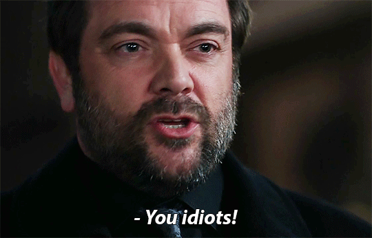 s8-1.gif