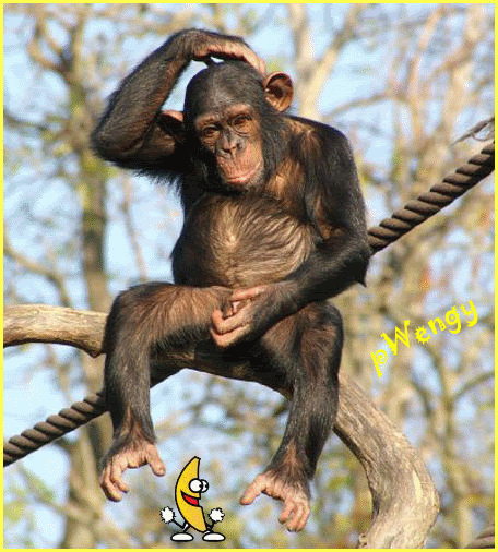 dancingBanana01.gif