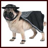 zorro-dog-costume-2.jpg