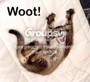 woot-copy.jpg