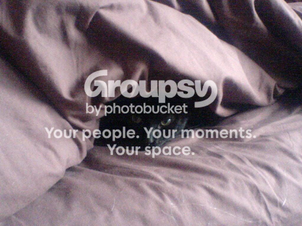 randomzz046.jpg