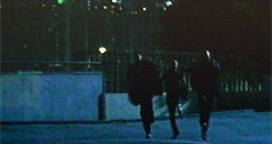 tumblr_miotj9k2LX1r8gsqgo6_250.gif