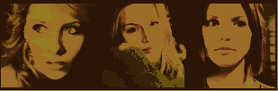 csbanner.gif