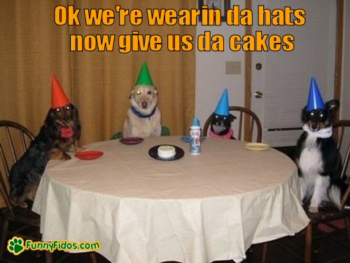 funny-dog-picture-now-give-us-da-cakes.jpg