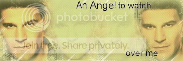 Angelsvisionbanner.jpg