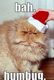 th_bahhumbug23.jpg