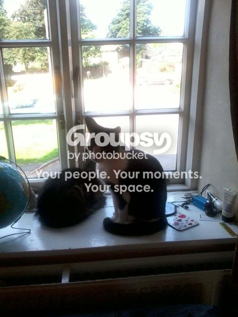 2012-09-03103046.jpg