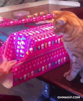 ECtuHAGUrcITK.gif
