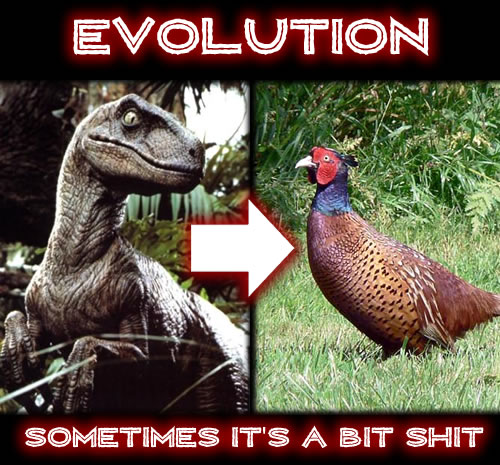 Evolution.jpg