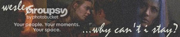aholeintheworldbanner.jpg