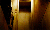 tumblr_lyjr3gyFuL1qf924co6_250.gif