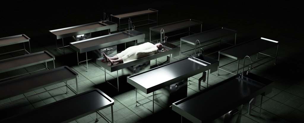 199-dead-man-morgue-wakes-up_1024.jpg