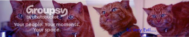 tiggy2.jpg