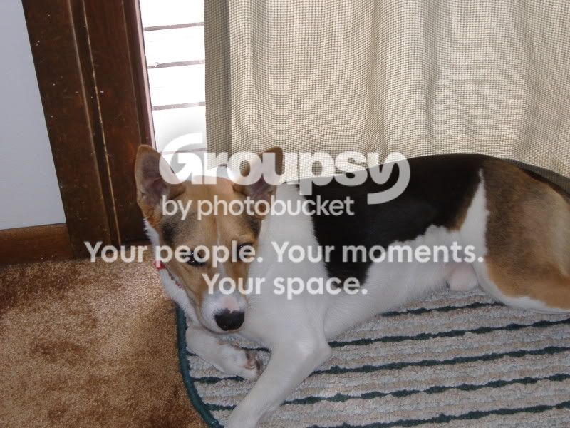 BostonMostly001.jpg