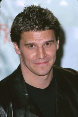 david-boreanaz.jpg