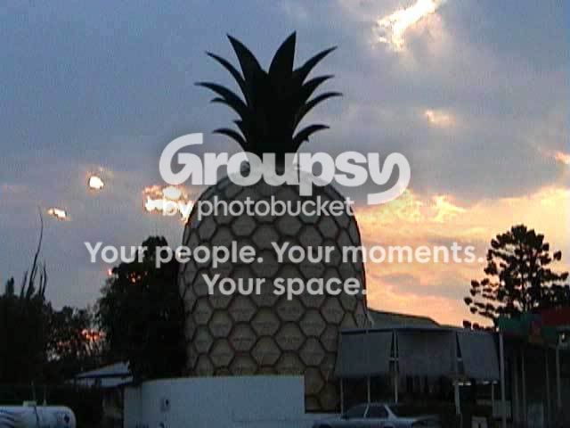 BigPineapple-Gympie-Qld640.jpg