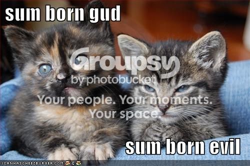 funny-pictures-good-evil-cats_zpsbbdc6215.jpg