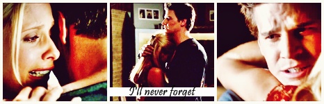 I__ll_never_forget_banner_by_16buffy.jpg