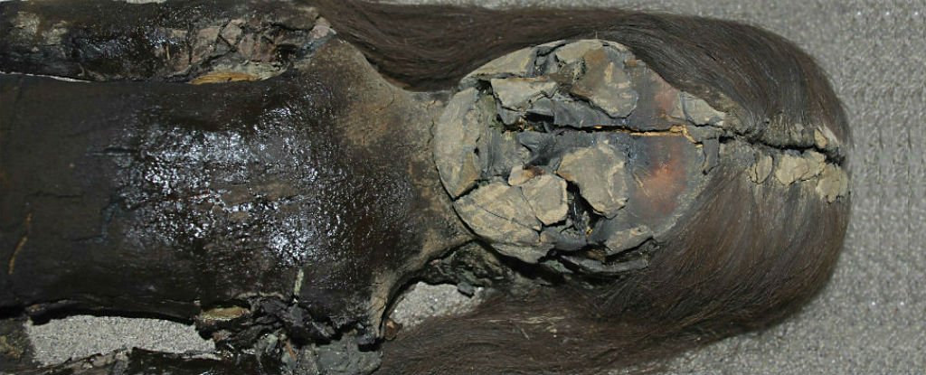 mummy-slime_1024.jpg