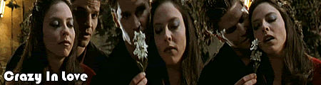 cil.gif