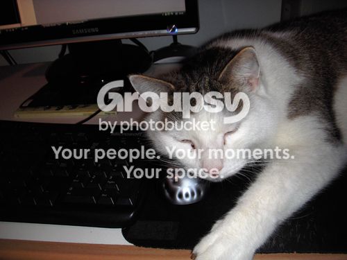 sleepyremu006.jpg