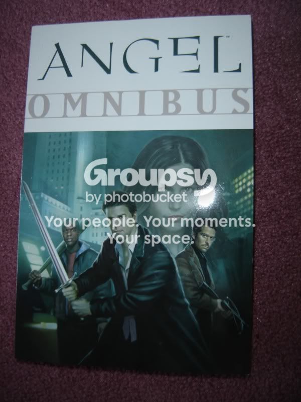 OmniAngel.jpg