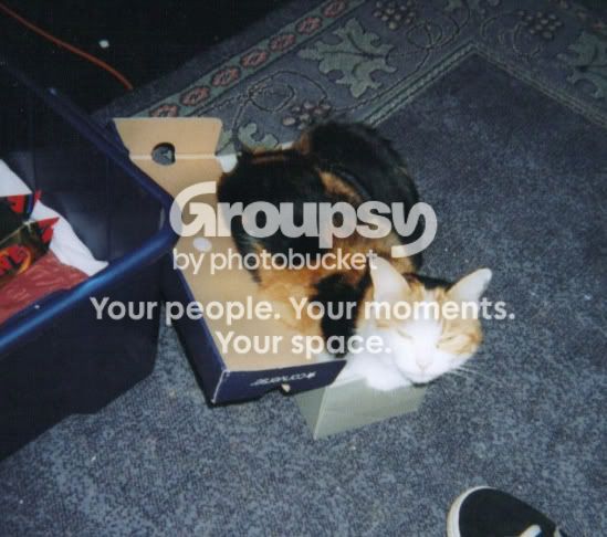 05-09-20082222581a.jpg