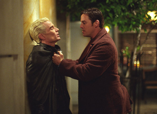 spike---xander-spike-696755_661_480.jpg