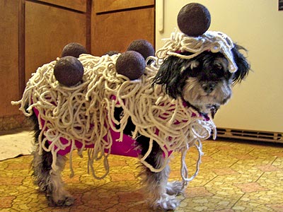 dog_pasta.jpg