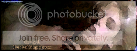 bangelhappinessbanner.png