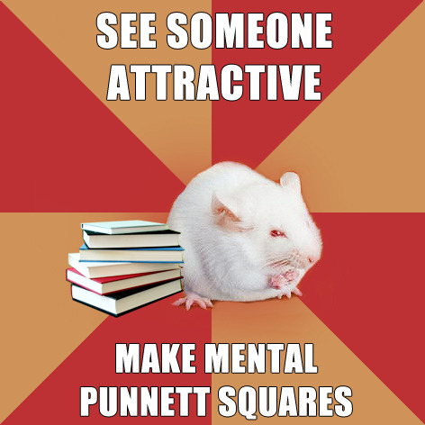 tumblr_lhkc359RP41qe0p2c.jpg