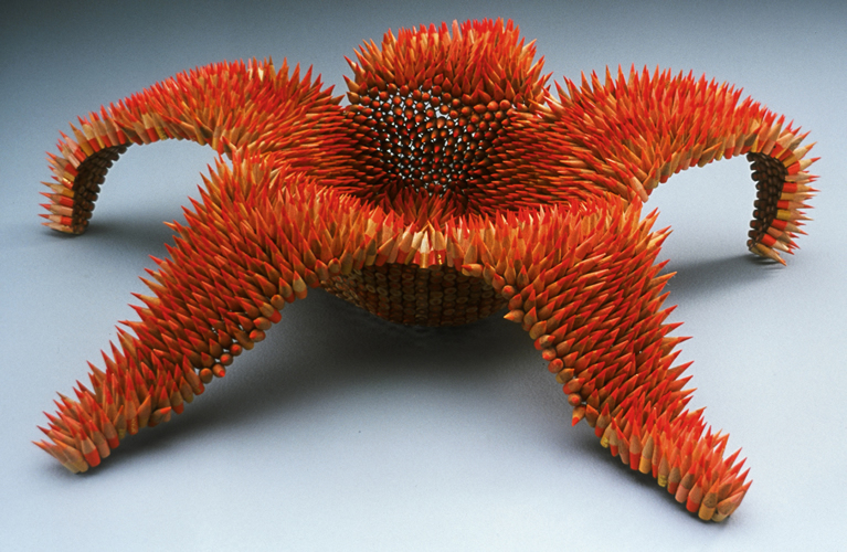 p_asteridae_full.jpg