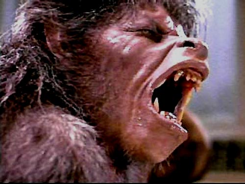 american_werewolf-2.jpg