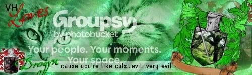 Cats2-1.jpg