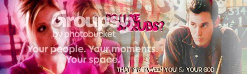 Shrubs.jpg