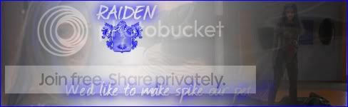 Raidenspikepetbanner.jpg