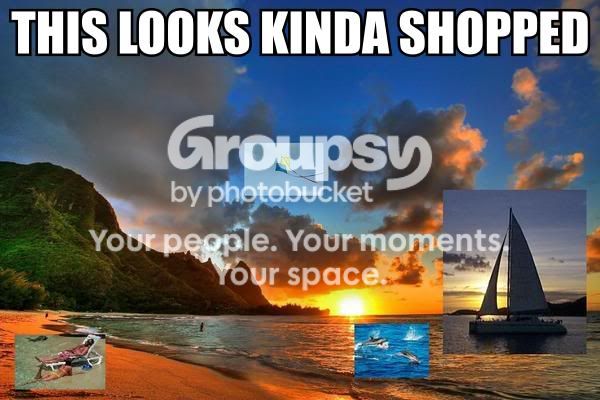 thislooksshopped2.jpg