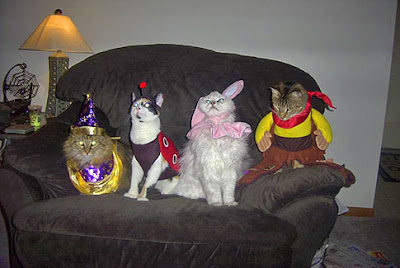 Halloween+cats.jpg