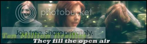 Willow-Fireflies.jpg