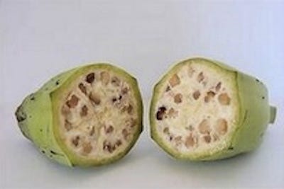 wild-banana.jpg