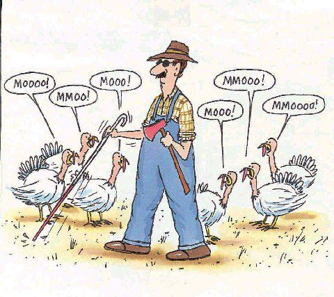 turkey-moo.jpg