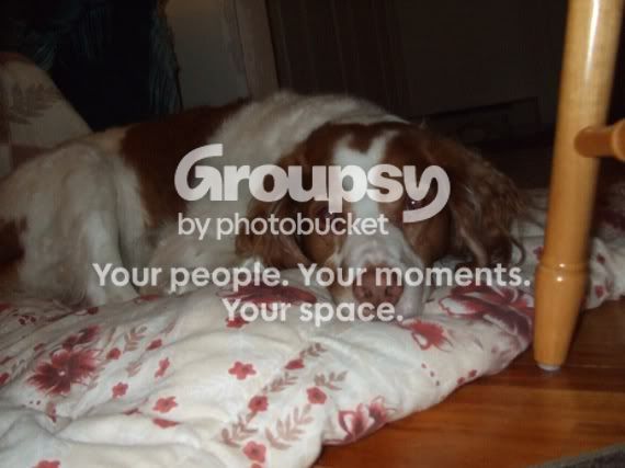 DSCF5858.jpg