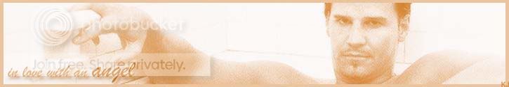db_angelbanner.jpg