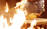 tumblr_lyjr3gyFuL1qf924co3_250.gif