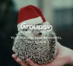 hedgehog.jpg