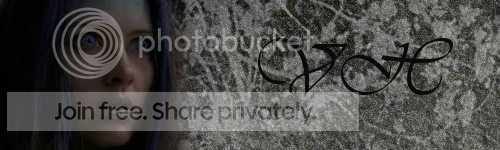 VH3.png