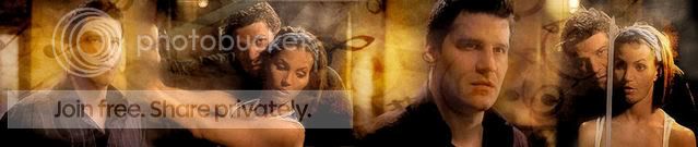 Trainingcordybanner.jpg