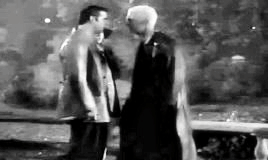 tumblr_ngr9rfGvoD1rlbc16o7_400.gif