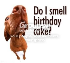 birthday_dog1.jpg