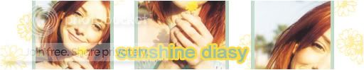 sunshinedaisey.jpg
